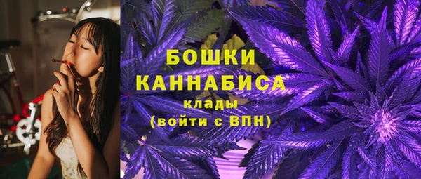 прущие крисы Абаза