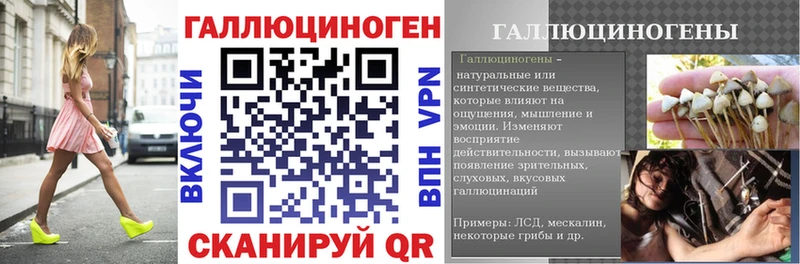 Галлюциногенные грибы Psilocybe Орёл